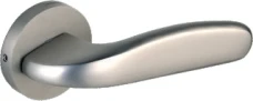 SS