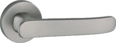 SS